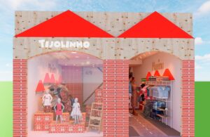 Studio Conceitualize Aline Fonseca